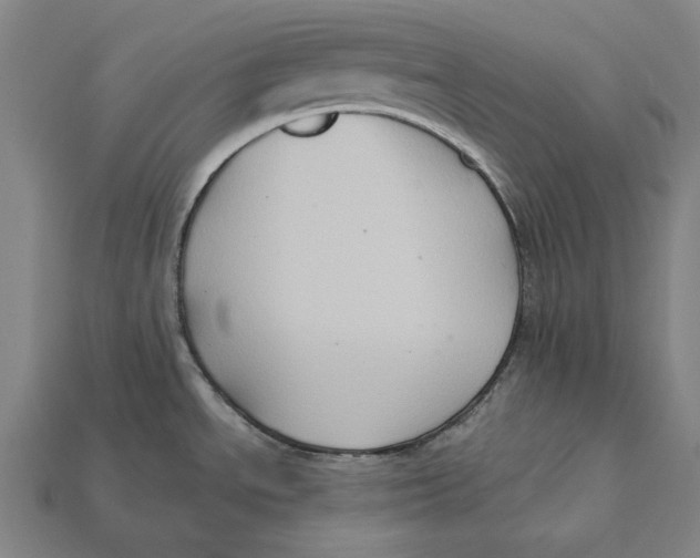 X0000112421534200909111000