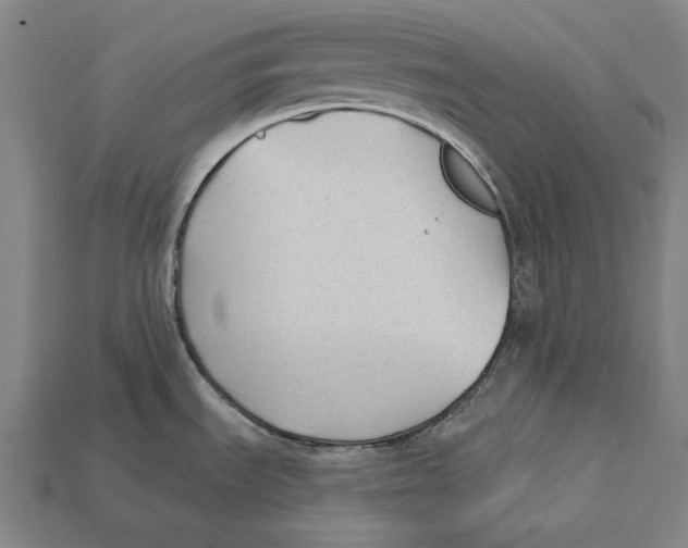 X0000112421535200909111000