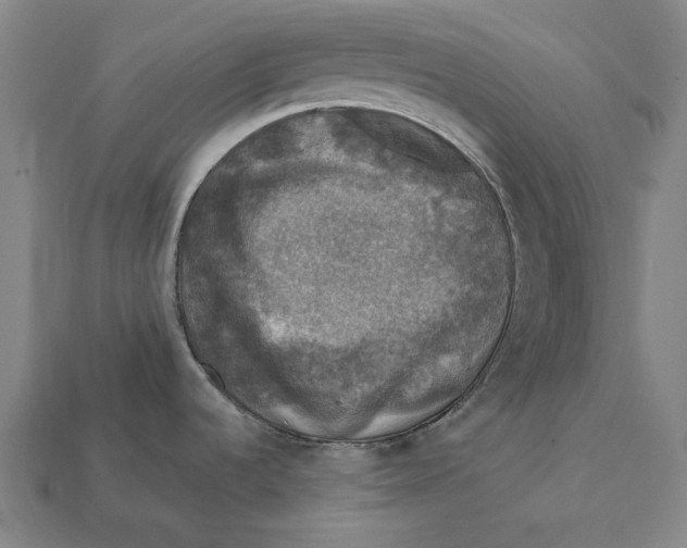 X0000112421536200909111000