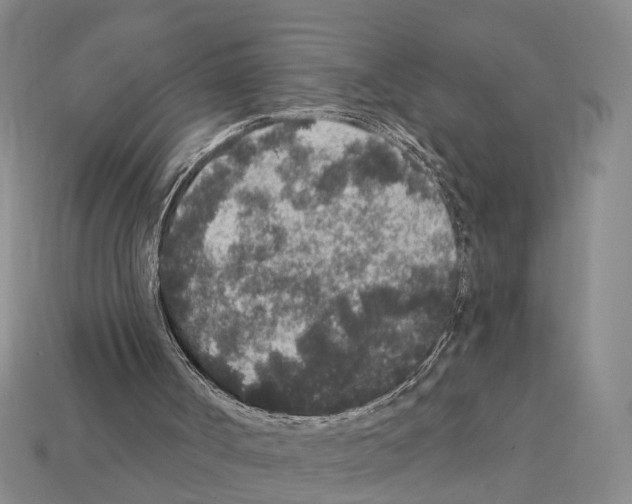 X0000112420002200909251526