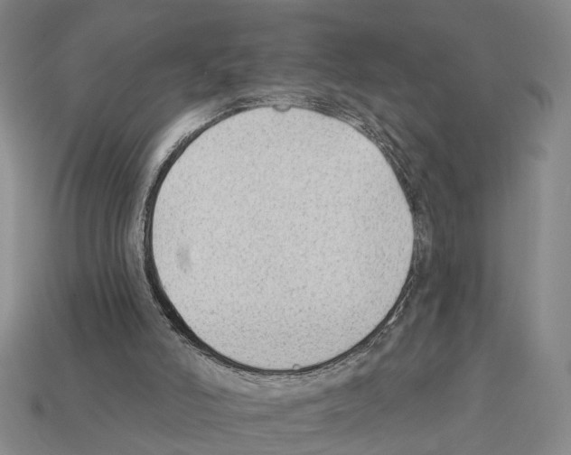 X0000112420006200909251526