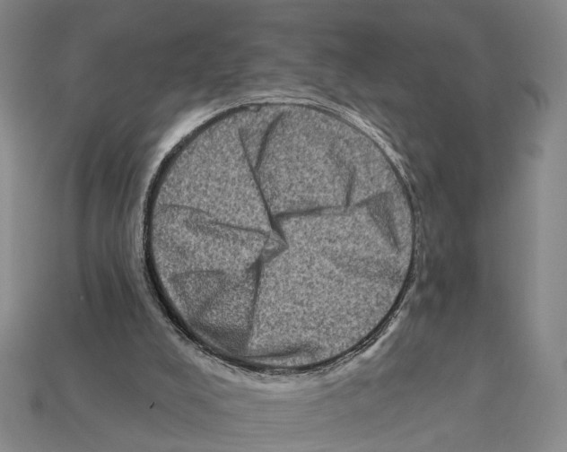 X0000112420008200909251525