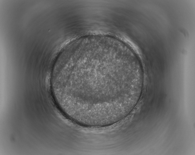 X0000112420009200909251525