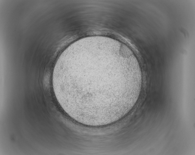 X0000112420010200909251525