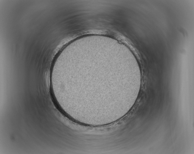 X0000112420011200909251525