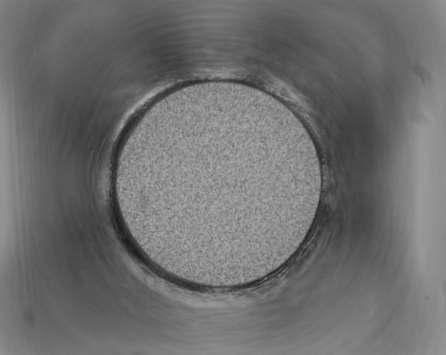 X0000112420012200909251525