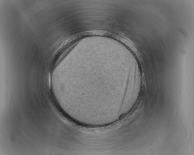 X0000112420013200909251525