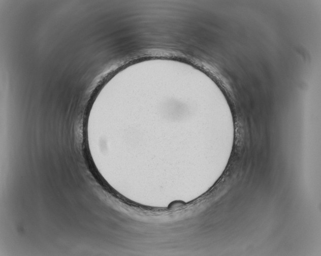 X0000112420015200909251525