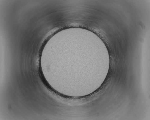 X0000112420016200909251525