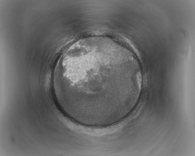 X0000112420018200909251525