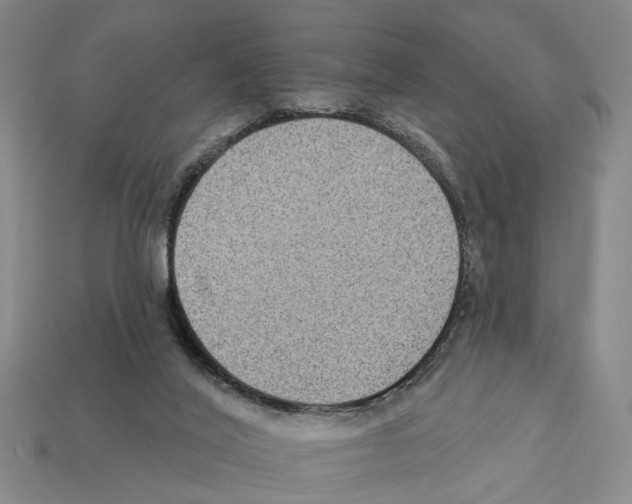 X0000112420020200909251525