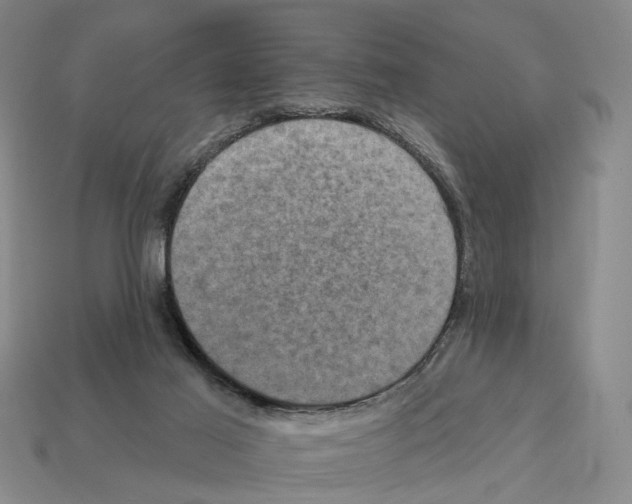 X0000112420021200909251525