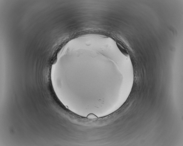 X0000112420023200909251525