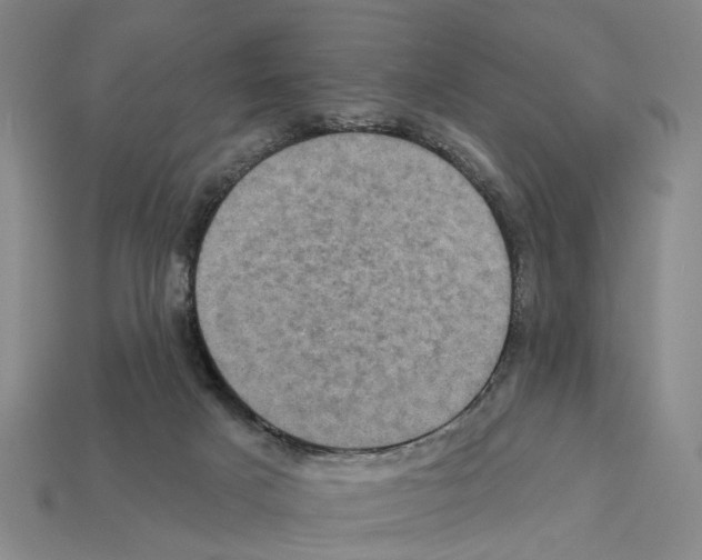 X0000112420025200909251525