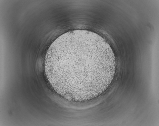 X0000112420026200909251525