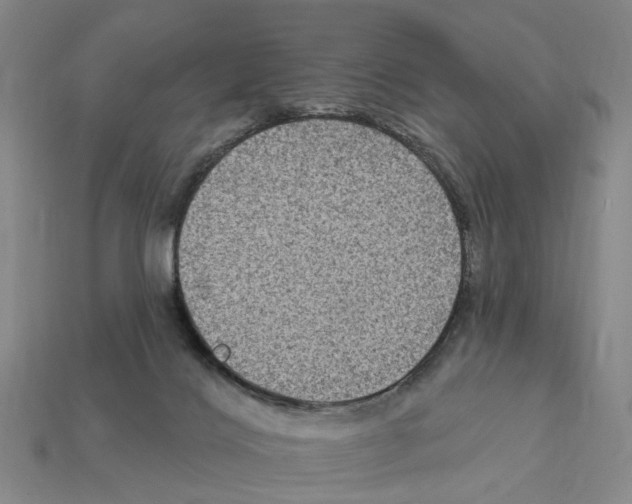 X0000112420028200909251525