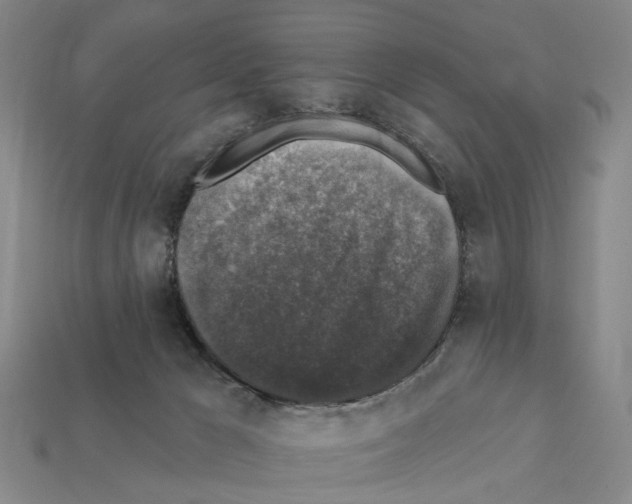 X0000112420029200909251525