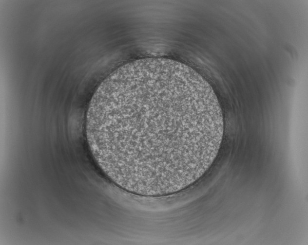 X0000112420030200909251525