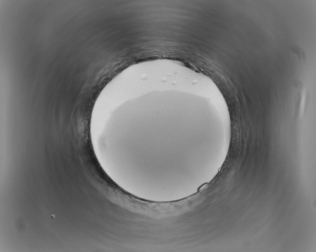 X0000112420031200909251525