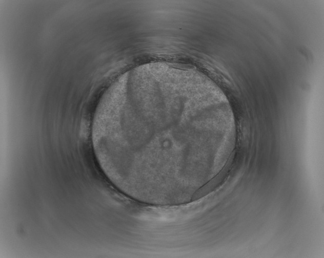 X0000112420033200909251525