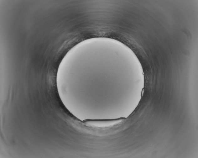 X0000112420035200909251525