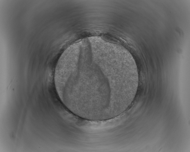 X0000112420037200909251525