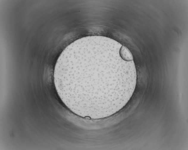 X0000112420038200909251525