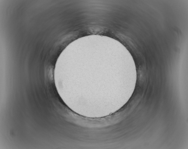 X0000112420042200909251525