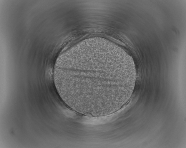 X0000112420045200909251525