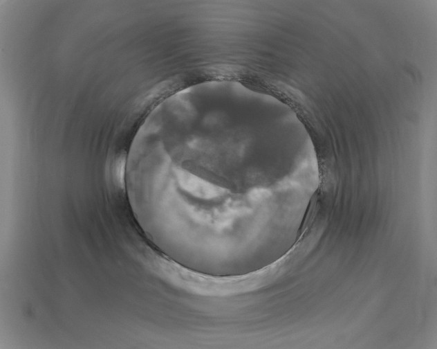 X0000112420047200909251525