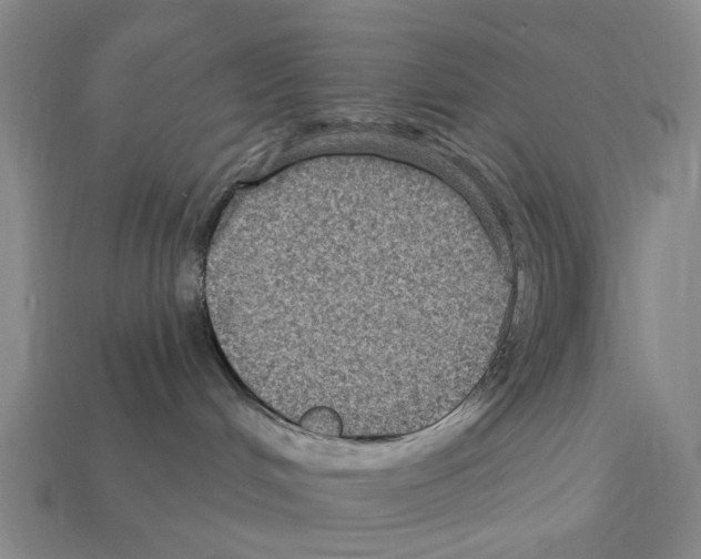 X0000112420048200909251525