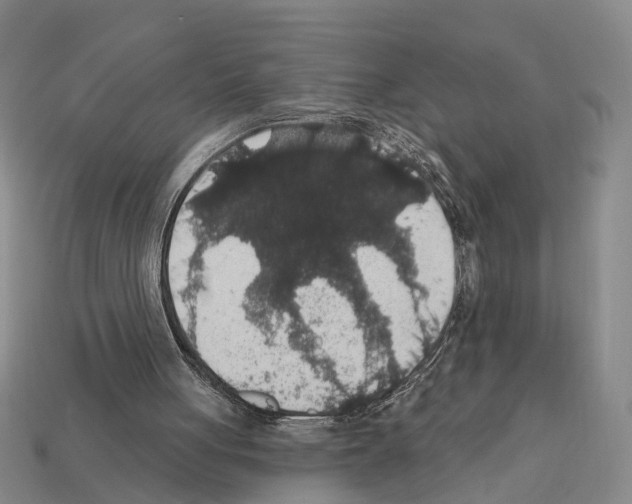 X0000112420051200909251524