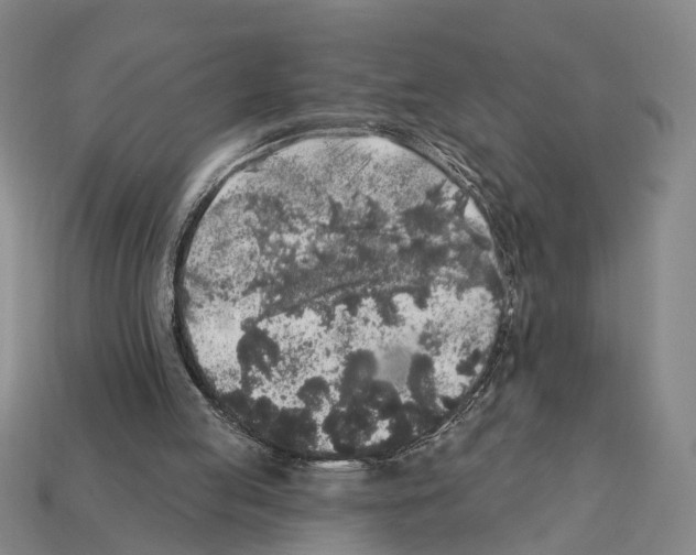 X0000112420053200909251524