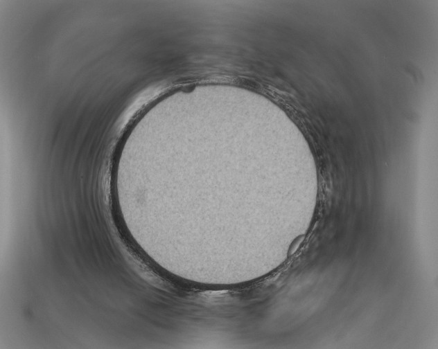 X0000112420054200909251524