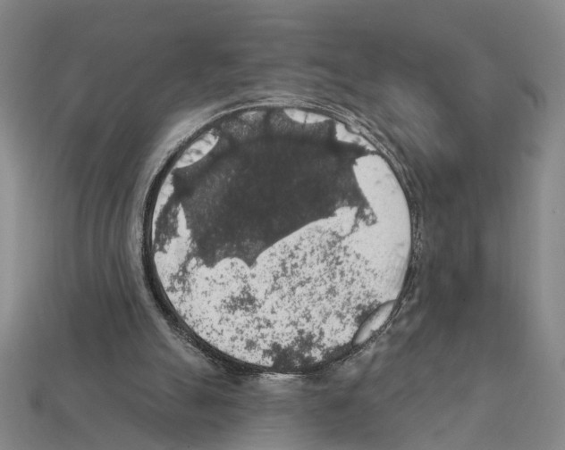 X0000112420055200909251524