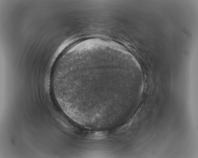 X0000112420056200909251524