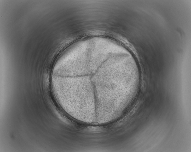 X0000112420057200909251524