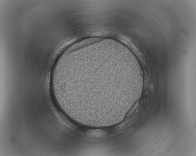 X0000112420058200909251524