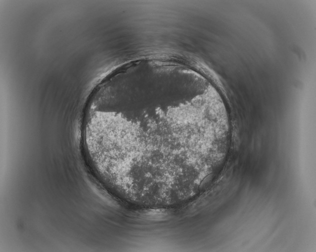 X0000112420059200909251524