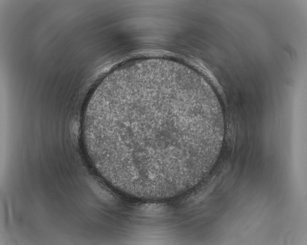 X0000112420063200909251524