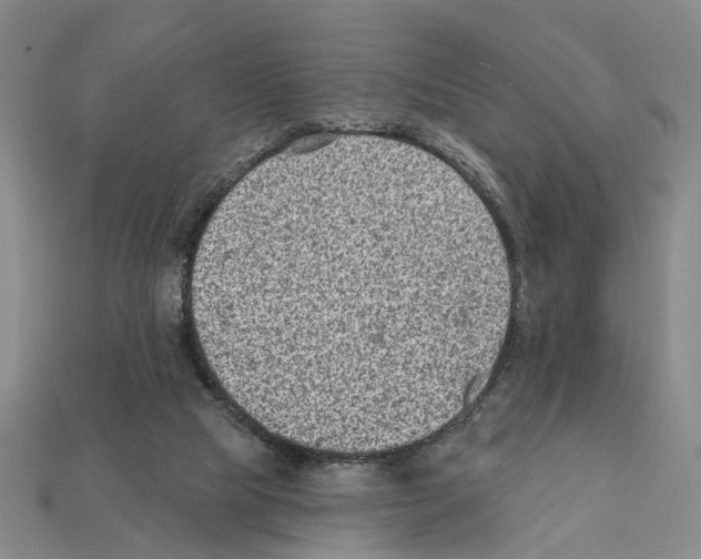 X0000112420065200909251524