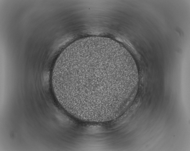 X0000112420066200909251524