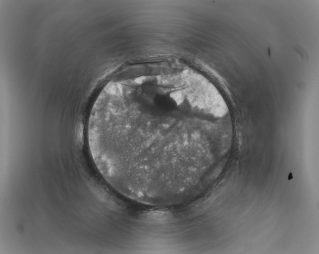 X0000112420067200909251524