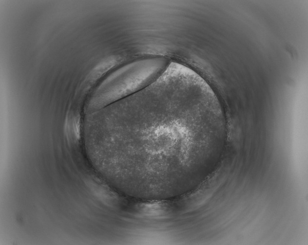 X0000112420068200909251524