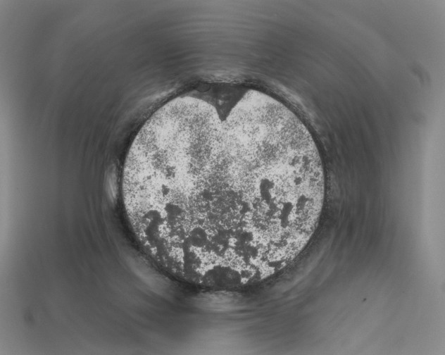 X0000112420069200909251524