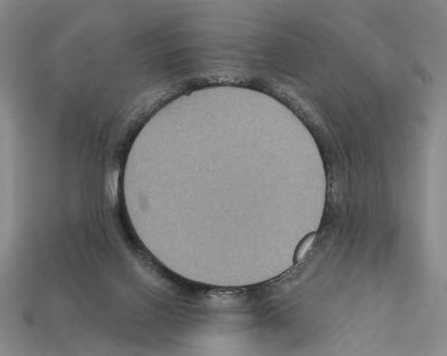 X0000112420070200909251524