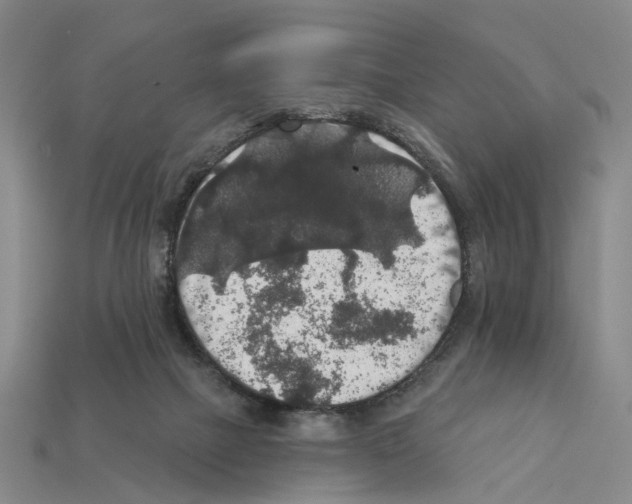 X0000112420073200909251524