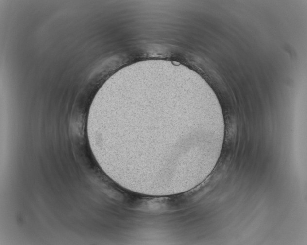 X0000112420078200909251525