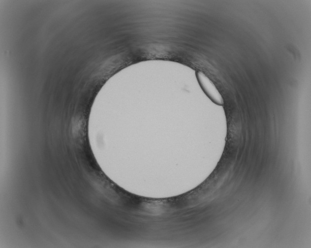 X0000112420079200909251525