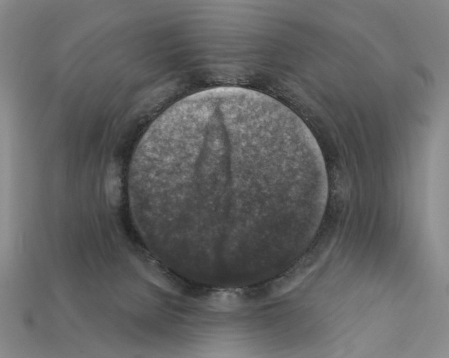 X0000112420080200909251525